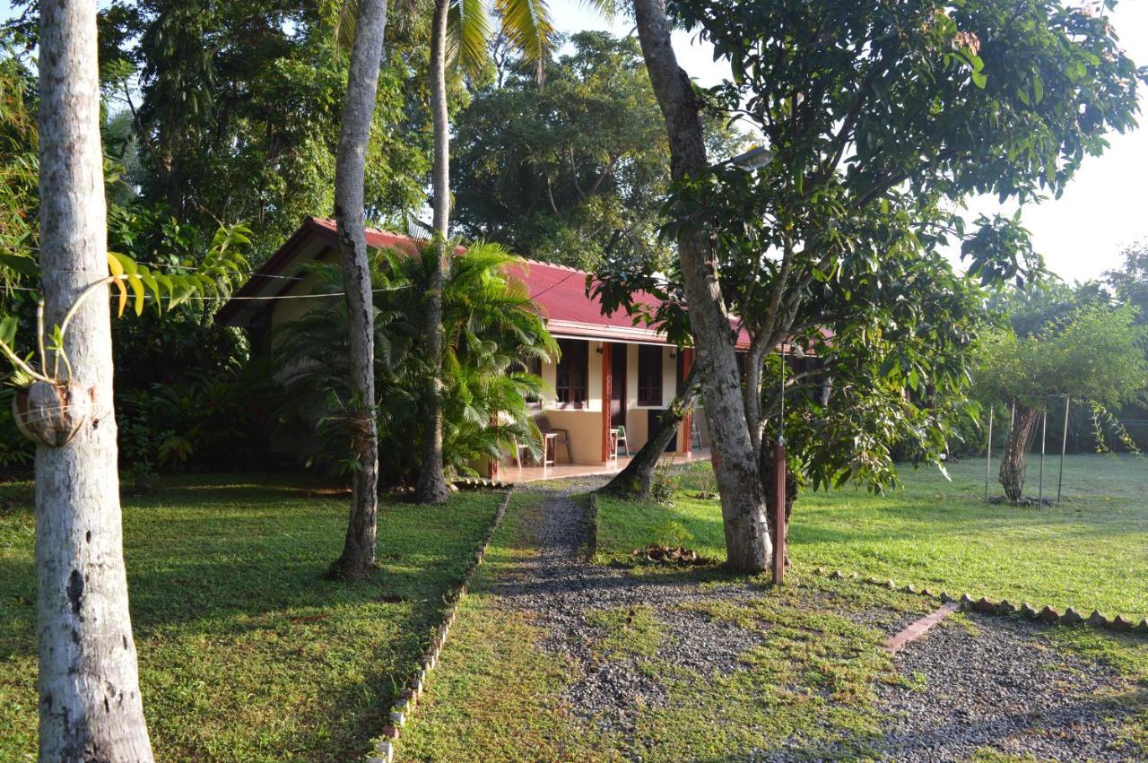 Bed and Breakfast Zum Deutschen Bentota Exteriér fotografie