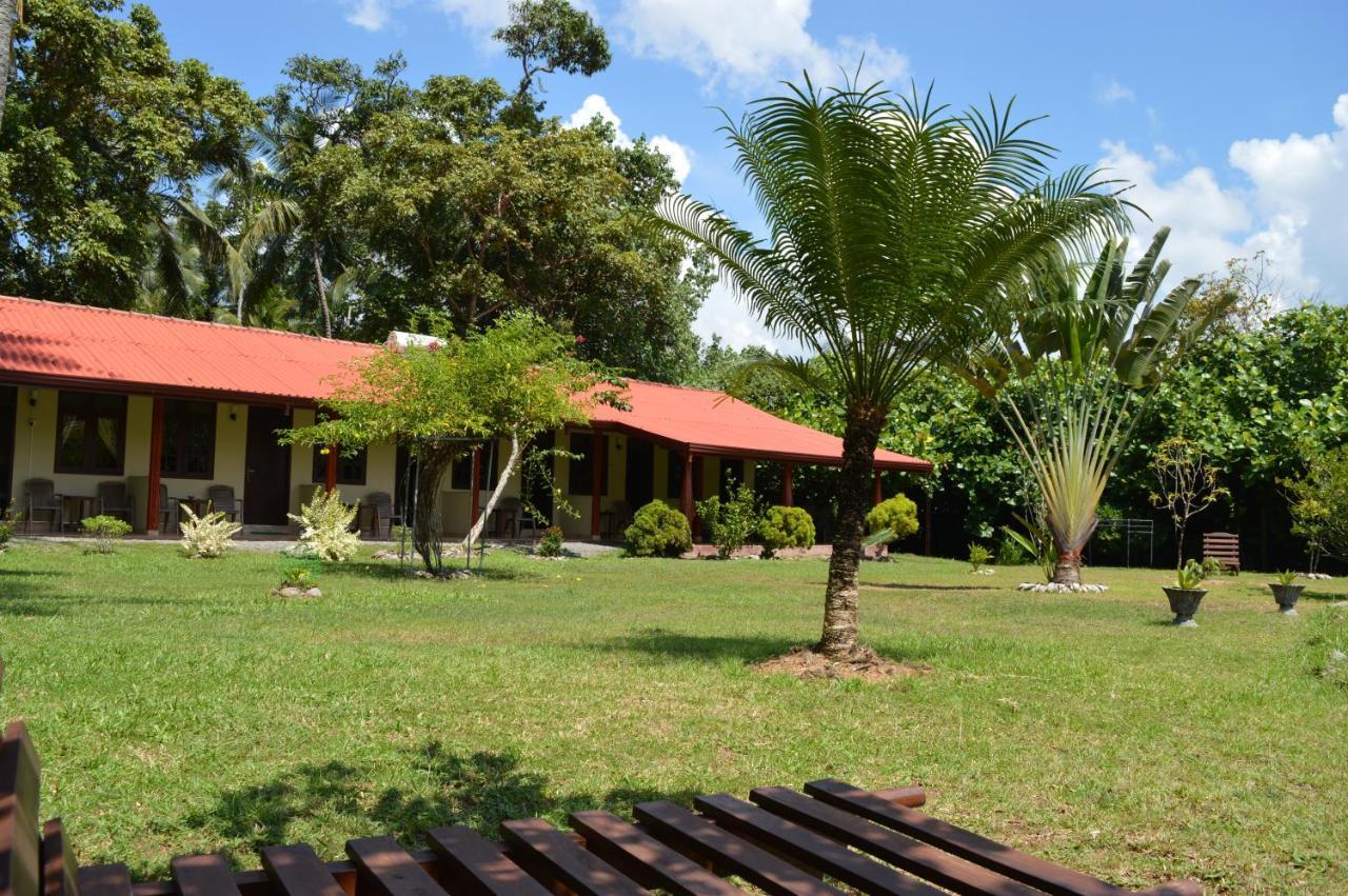 Bed and Breakfast Zum Deutschen Bentota Exteriér fotografie