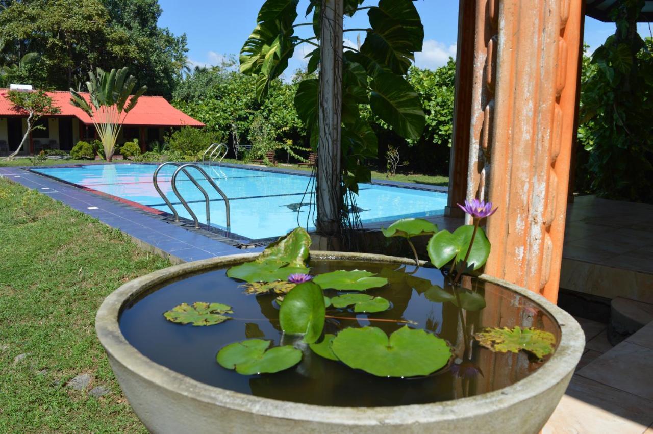 Bed and Breakfast Zum Deutschen Bentota Exteriér fotografie